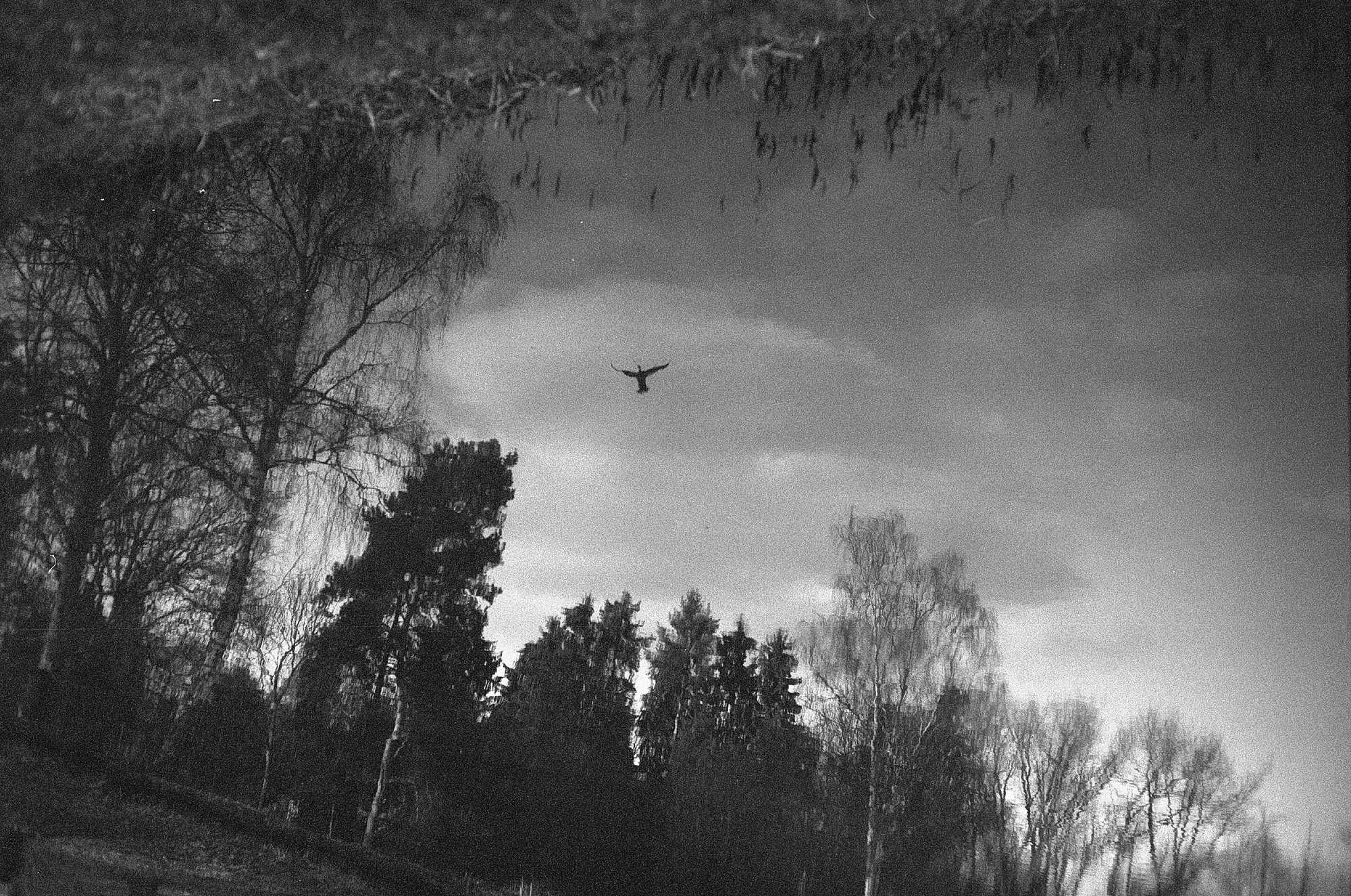 Vkl 2019 02 22 Leica M6 7Artisans 50 APX100 (2)